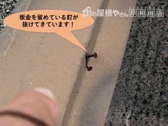 岸和田市の板金を留めている釘が抜けてきています