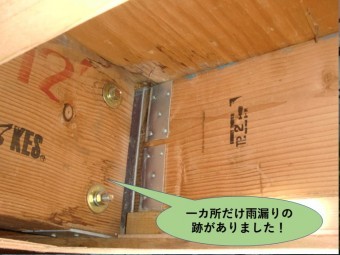 岸和田市の小屋裏に雨漏りの跡