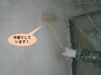 岸和田市の外壁を中塗りしています!