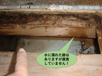 貝塚市のベランダの内部状況・水に濡れた跡はありますが腐食していません