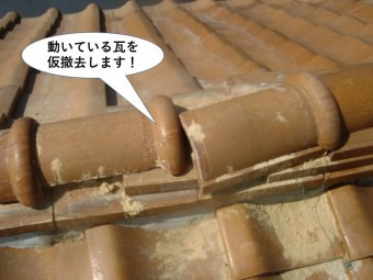 和泉市の動いている瓦を仮撤去します