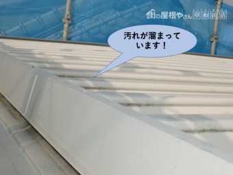 岸和田市の折板屋根の現況