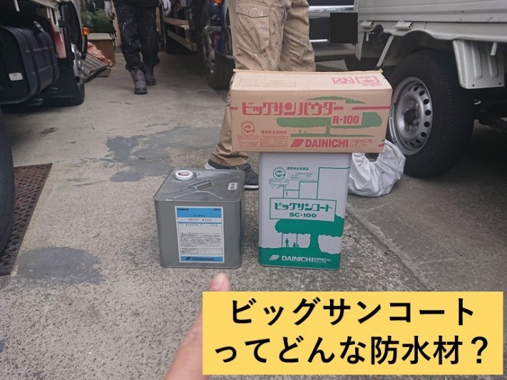 ビッグサンコートとは?