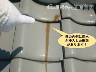 高石市の棟の内側に雨水が浸入