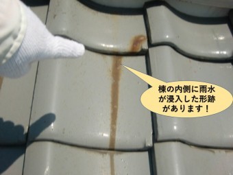 高石市の棟の内側に雨水が浸入