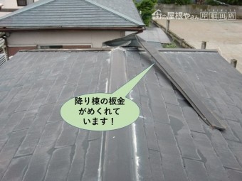 泉大津市の降り棟の板金がめくれています