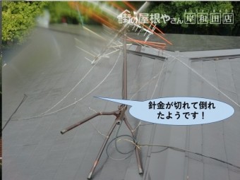 岸和田市のアンテナが針金が切れて倒れたようです