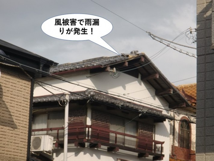 岸和田市の風被害の現地調査