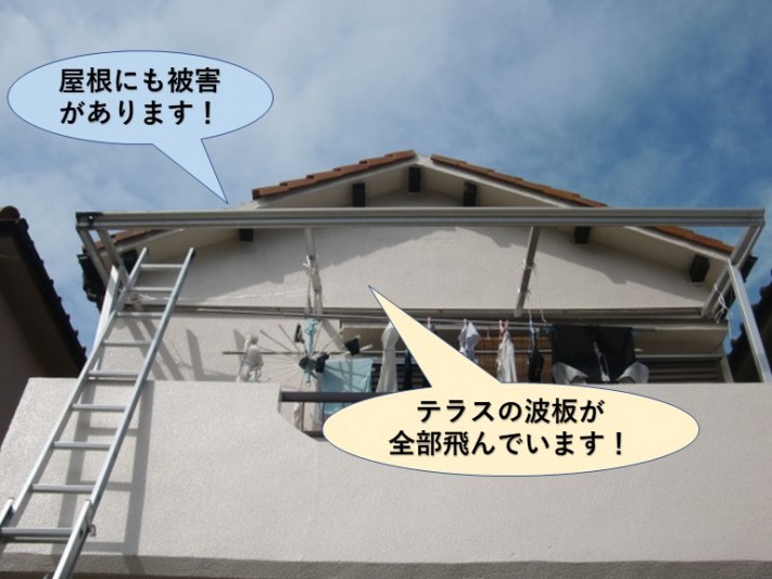 泉大津市の台風被害の現調