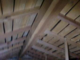 岸和田市流木町の雨漏り調査で小屋裏調査中