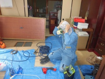 岸和田市土生町の白蟻駆除及び防蟻