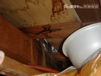 泉佐野市の一階の天井裏の雨漏り確認