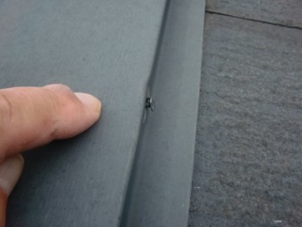 貝塚市の棟板金の釘