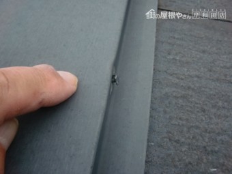 貝塚市の棟板金の釘