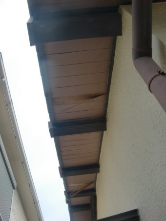泉南市男里の劣化が激しい軒天井修理工事
