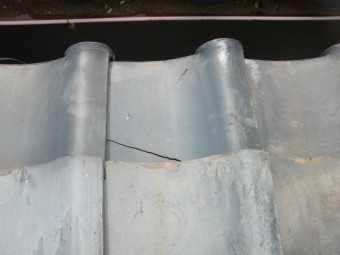 CIMG2594-columns2