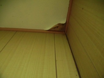 岸和田市下野町のトイレの天井の雨漏り