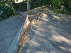 和泉市の棟板金飛散状況