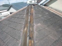 岸和田市の棟板金が飛散しました!