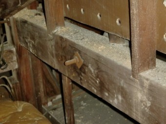 泉北郡忠岡町で屋根裏の筋交いなど調査中