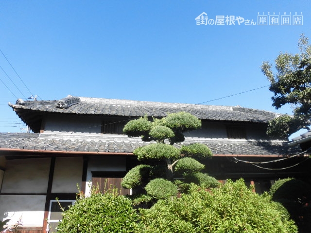 岸和田市の屋根