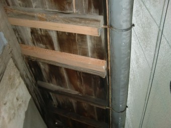 泉北郡忠岡町の屋根の垂木入替