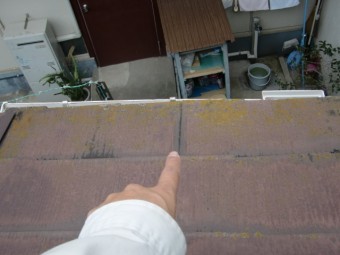貝塚市のカラーベストに発生した苔