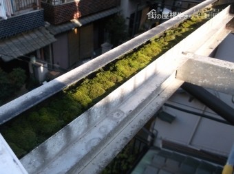高石市千代田の二階ベランダテラスのフレームに付いた苔