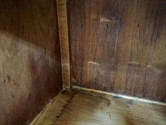 泉佐野市の押入れの下段も濡れています!