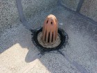 泉佐野市のドレン補修後