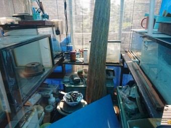 泉佐野市の温室内部