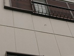 岸和田市の改修前の外壁の目地