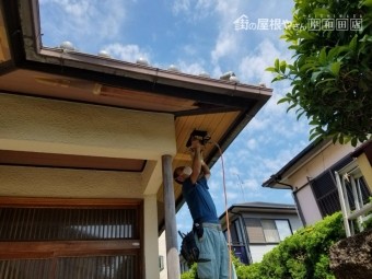 泉南市男里の劣化が激しい軒天井修理工事