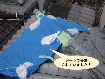 泉南市の屋根をシートで養生していました!