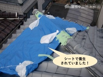 泉南市の屋根をシートで養生していました!