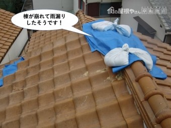 和泉市の棟が崩れて雨漏りしたそうです