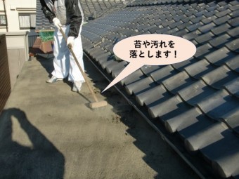 岸和田市の陸屋根の苔や汚れを落とします!