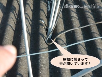岸和田市の倉庫の屋根に刺さって穴が開いています