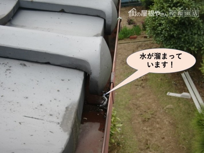 泉北郡忠岡町の雨樋に水が溜まっています