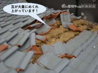泉佐野市の瓦が大量にめくれ上がっています