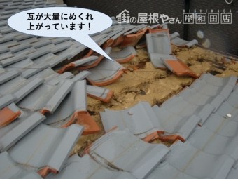 泉佐野市の瓦が大量にめくれ上がっています