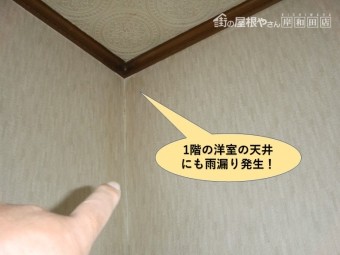 塚市の1階の洋室の天井にも雨漏り発生