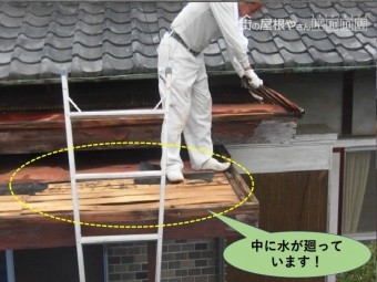 泉北郡忠岡町の玄関屋根の内側に水が廻っています