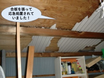 忠岡町の納屋の屋根に合板を張って応急処置
