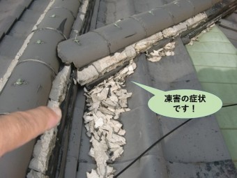 岸和田市の屋根の瓦の凍害の症状です!