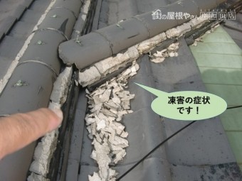 岸和田市の屋根の瓦の凍害の症状です!