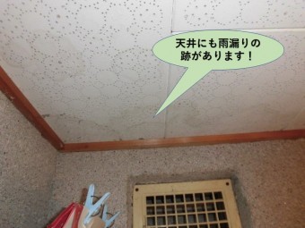 岸和田市のトイレの天井にも雨漏りの跡があります