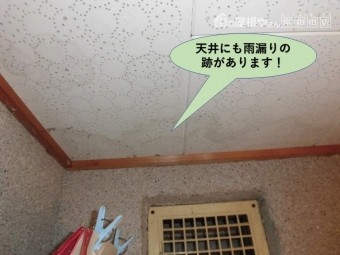 岸和田市のトイレの天井にも雨漏りの跡があります