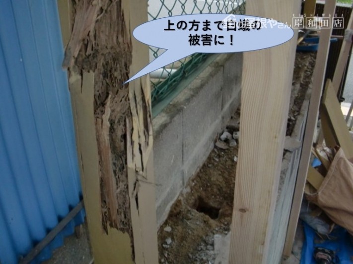 阪南市のカーポートの柱の上の方まで白蟻の被害に!