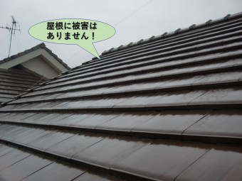 岸和田市の屋根に被害はありません!
